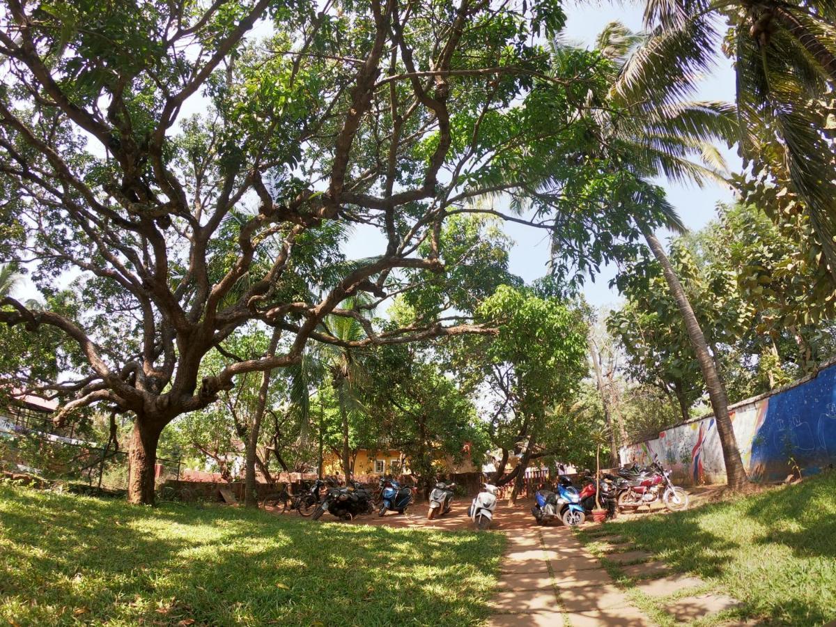Gaia Hostels Anjuna Extérieur photo